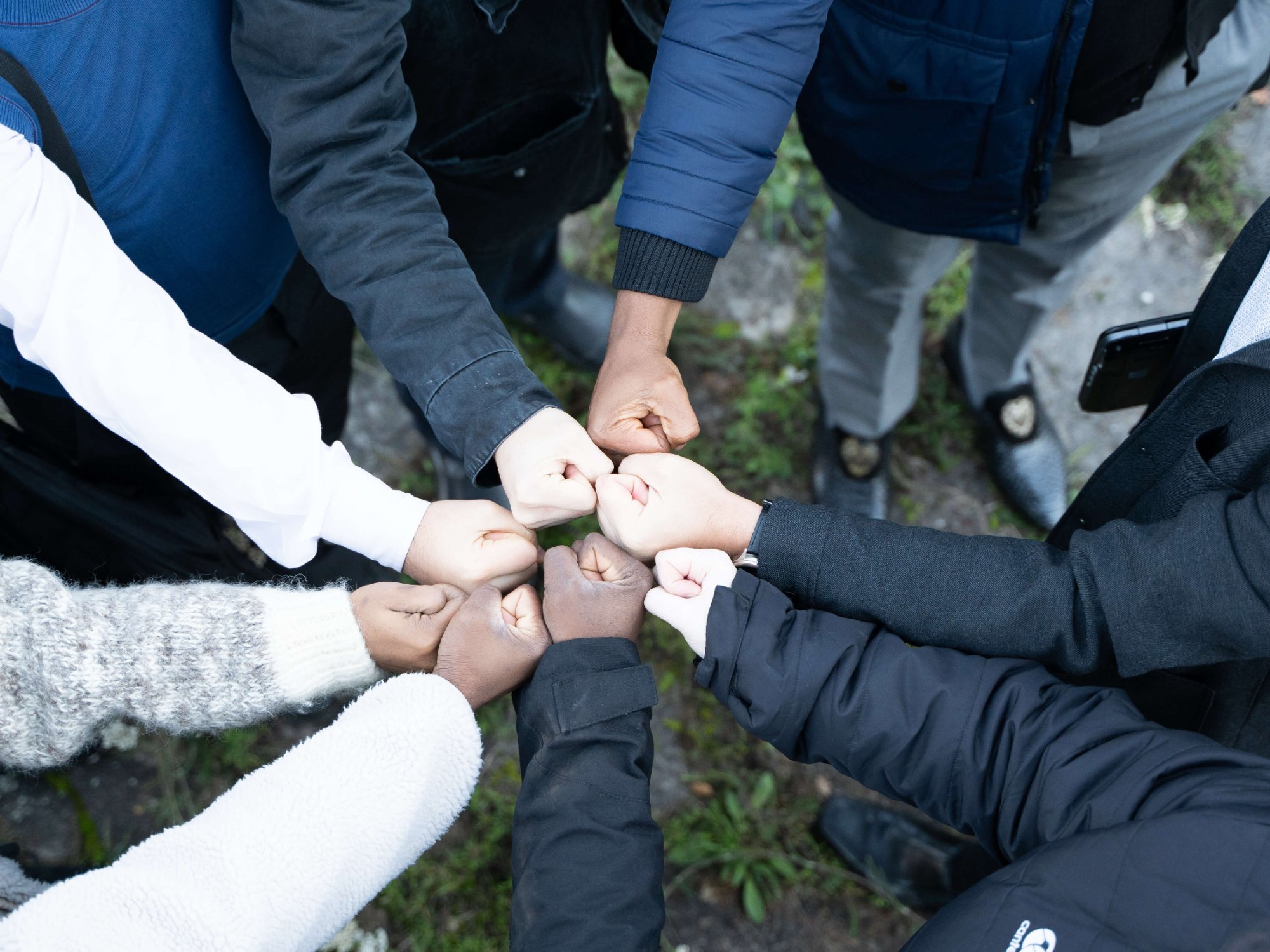 Our Impact - Portfolio Showcase